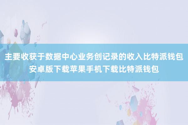 主要收获于数据中心业务创记录的收入比特派钱包安卓版下载苹果手机下载比特派钱包