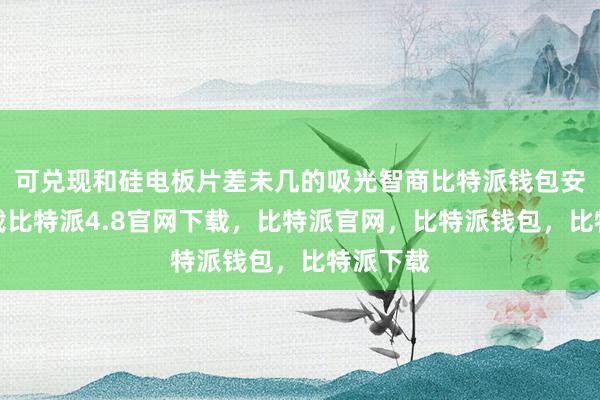 可兑现和硅电板片差未几的吸光智商比特派钱包安卓版下载比特派4.8官网下载，比特派官网，比特派钱包，比特派下载