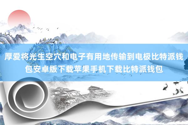 厚爱将光生空穴和电子有用地传输到电极比特派钱包安卓版下载苹果手机下载比特派钱包