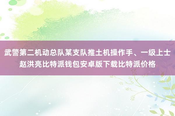 武警第二机动总队某支队推土机操作手、一级上士赵洪亮比特派钱包安卓版下载比特派价格