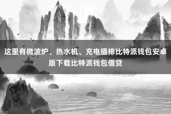 这里有微波炉、热水机、充电插排比特派钱包安卓版下载比特派钱包借贷