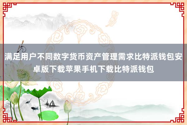 满足用户不同数字货币资产管理需求比特派钱包安卓版下载苹果手机下载比特派钱包