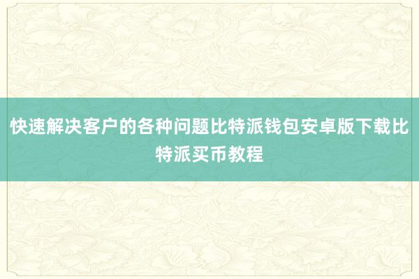 快速解决客户的各种问题比特派钱包安卓版下载比特派买币教程