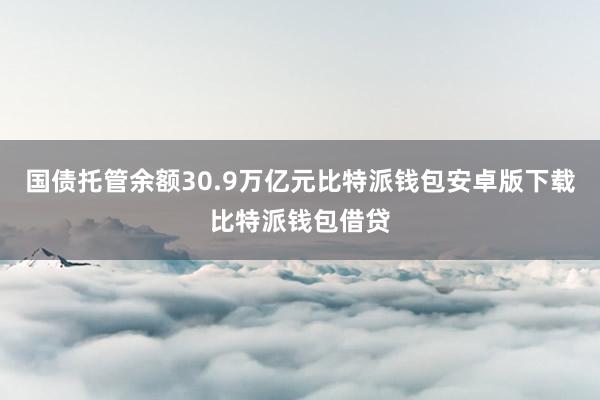 国债托管余额30.9万亿元比特派钱包安卓版下载比特派钱包借贷