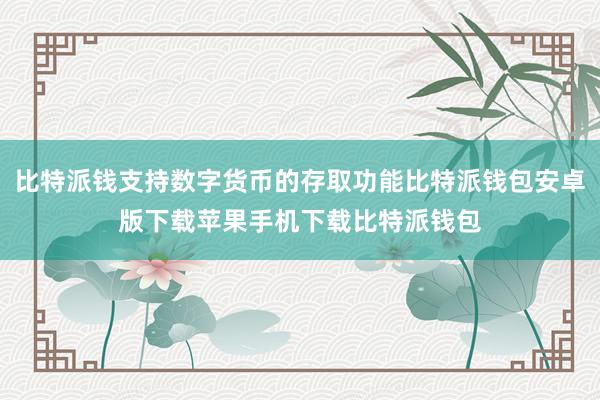 比特派钱支持数字货币的存取功能比特派钱包安卓版下载苹果手机下载比特派钱包