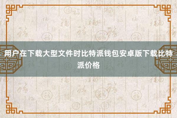 用户在下载大型文件时比特派钱包安卓版下载比特派价格