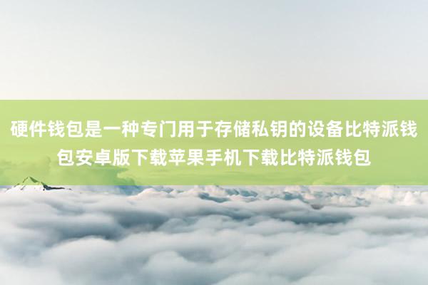 硬件钱包是一种专门用于存储私钥的设备比特派钱包安卓版下载苹果手机下载比特派钱包