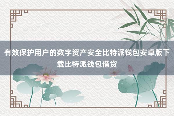 有效保护用户的数字资产安全比特派钱包安卓版下载比特派钱包借贷