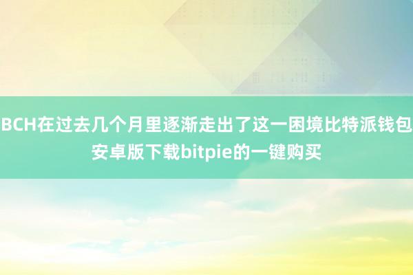 BCH在过去几个月里逐渐走出了这一困境比特派钱包安卓版下载bitpie的一键购买