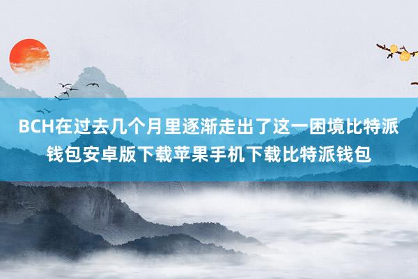 BCH在过去几个月里逐渐走出了这一困境比特派钱包安卓版下载苹果手机下载比特派钱包