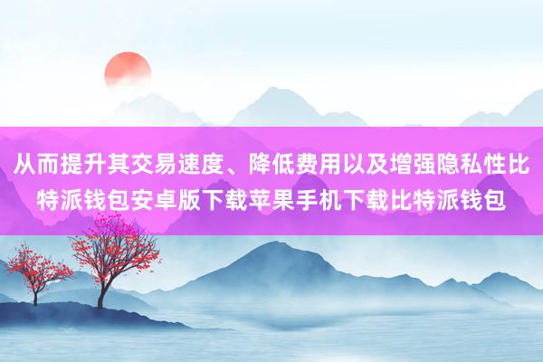 从而提升其交易速度、降低费用以及增强隐私性比特派钱包安卓版下载苹果手机下载比特派钱包