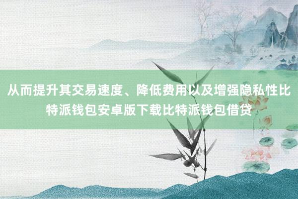 从而提升其交易速度、降低费用以及增强隐私性比特派钱包安卓版下载比特派钱包借贷