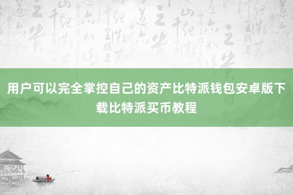 用户可以完全掌控自己的资产比特派钱包安卓版下载比特派买币教程