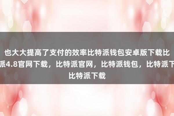 也大大提高了支付的效率比特派钱包安卓版下载比特派4.8官网下载，比特派官网，比特派钱包，比特派下载