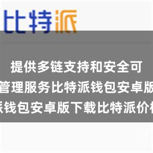 提供多链支持和安全可靠的资产管理服务比特派钱包安卓版下载比特派价格