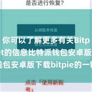 你可以了解更多有关Bitpie Wallet的信息比特派钱包安卓版下载bitpie的一键购买