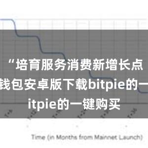 “培育服务消费新增长点比特派钱包安卓版下载bitpie的一键购买