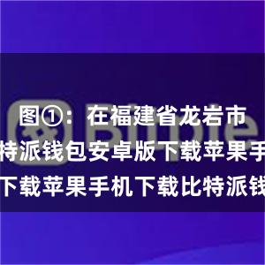 图①：在福建省龙岩市长汀县比特派钱包安卓版下载苹果手机下载比特派钱包